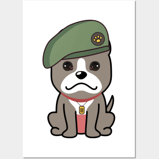 Green Beret grey dog Posters and Art